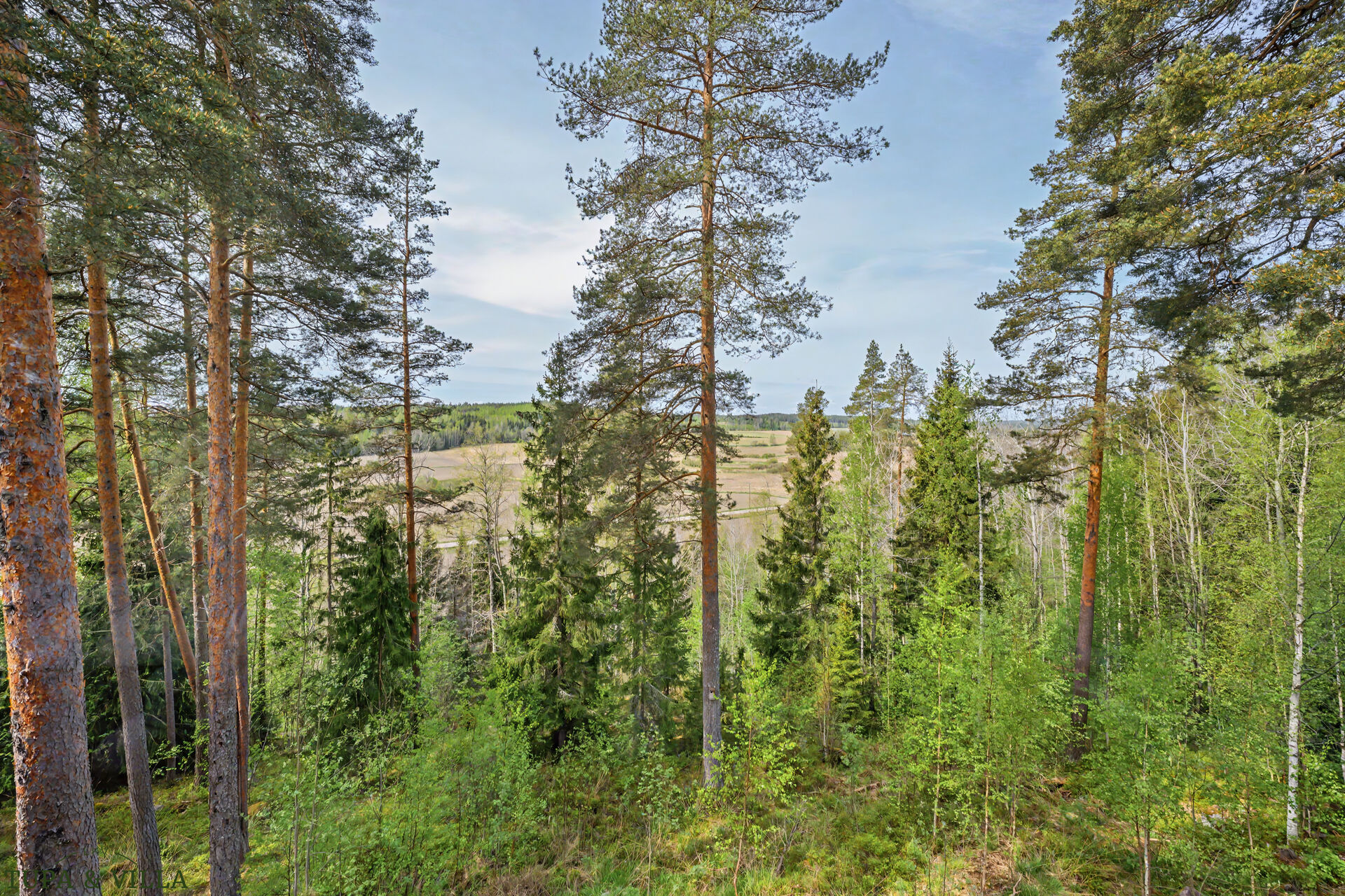 4h, k, kirj, aula, khh, kph x2, wc x2 , var + ak + pihasauna