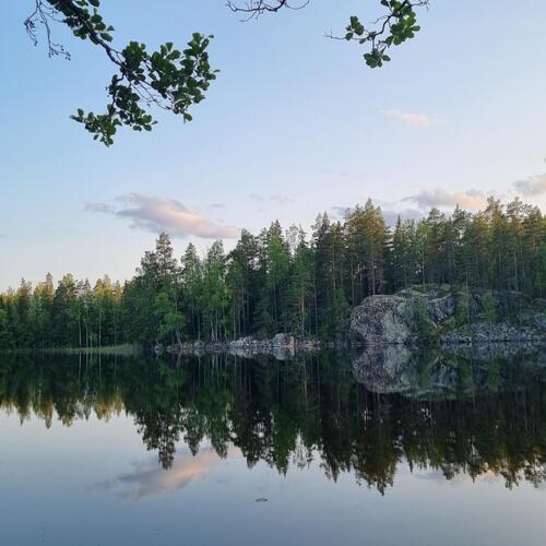 myyjän albumista