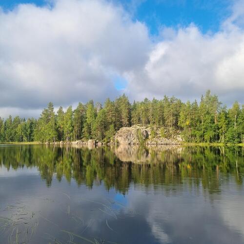 myyjän albumista