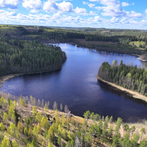 Veijanlampi.