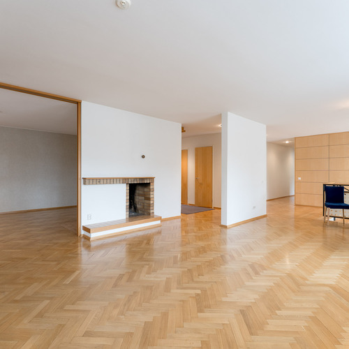 Olohuoneesta käynti takka/kirjastohuoneeseen