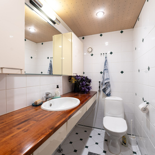 Kellarikerroksessa on toinenkin wc