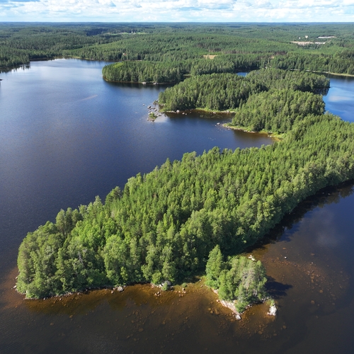 Vapaa-ajan tontti, Uudentuvantie 148, Mikkeli, Kolme rantarakennuspaikkaa saaressa. 3 x RA1, rak oik 100krsm2/kpl., 4,39 ha, 99 000 €