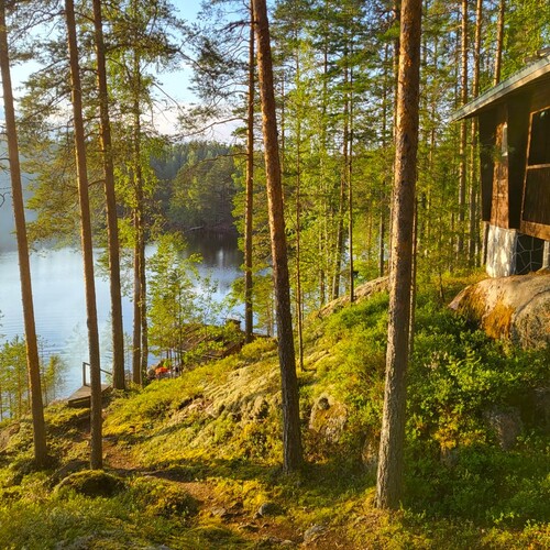 Mökki tai huvila, Mustaniementie 112, Mäntyharju, Tupa, kk, var, kuisti + rantasauna, 15 m², 85 000 €