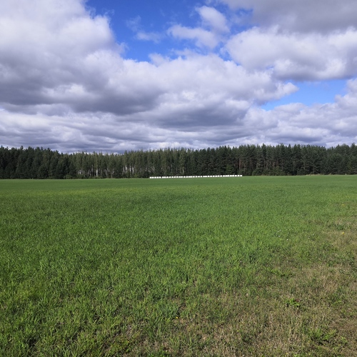 Muu, Taimitarhantie, Savonlinna, 17 ha peltomaata, 16,98 ha