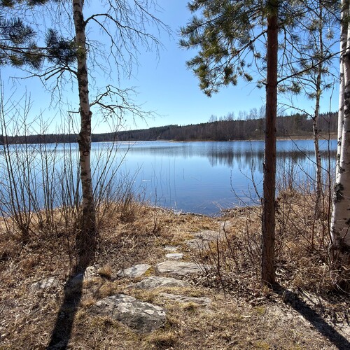 Ranta