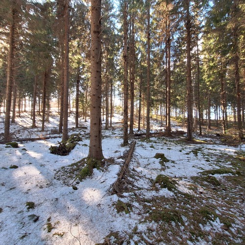 Metsätila, Kelkanlahdentie 2, Parikkala, Tyrjä, Metsätila, 4,73 ha, 45 000,00 €