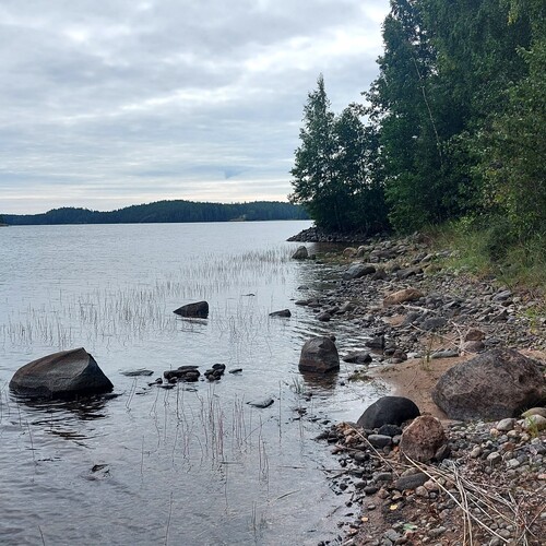Vapaa-ajan tontti, Jurvansaarentie Ruskiakangas Toijala, Mikkeli, Haapiala, 1 h määräalatontti Saimaa, 1 ha, 105 000 €