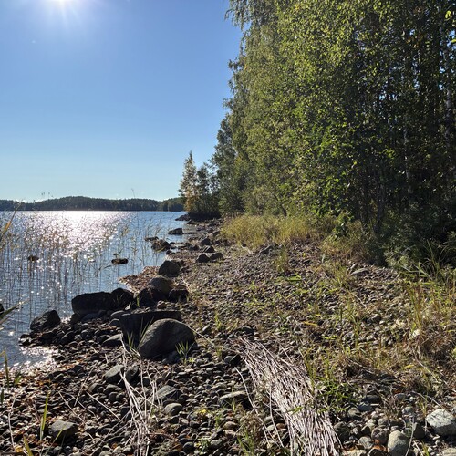 Vapaa-ajan tontti, Jurvansaarentie Ruskiakangas Toijala, Mikkeli, Ristiina, 1 h määräalatontti Saimaa, 1 ha, 105 000 €