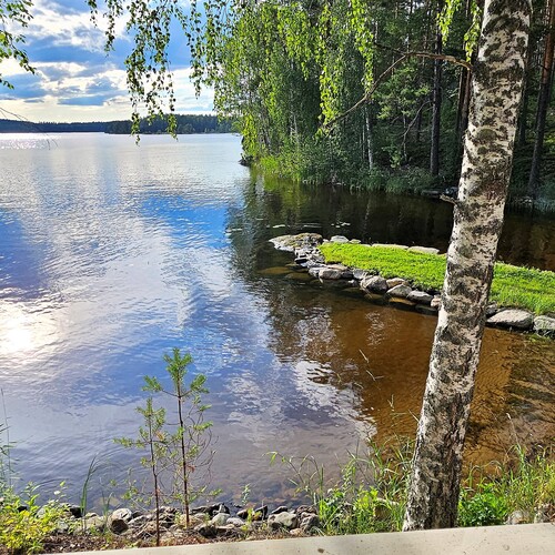 Aitasta näkymä.
