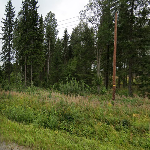 Omakotitalotontti, Mikkeli, Rahula, Kuopiontie 99, Omakotitalon tontti, 5 000,00m², 23 000,00 €