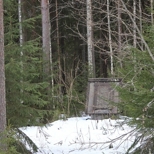 Kaivo.