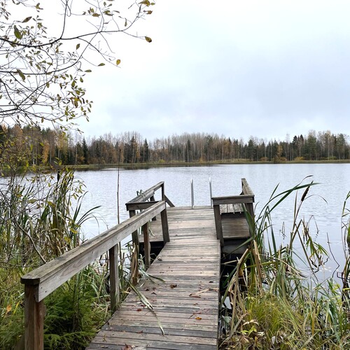 Laituri