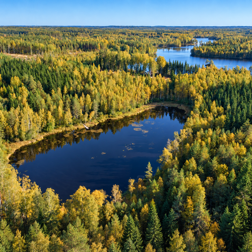Mökki tai huvila, Saviniementie 53, Mikkeli, Suomenniemi, Tupak, et, s, ter, 24 m², 77 000 €