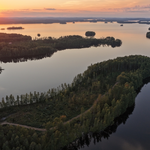 Vapaa-ajan tontti, Luhtaviitantie / Lammasniementie, Hirvensalmi, Rantatontti nro 2. RA, rak oik 250krsm², 5 000 m², 125 000 €