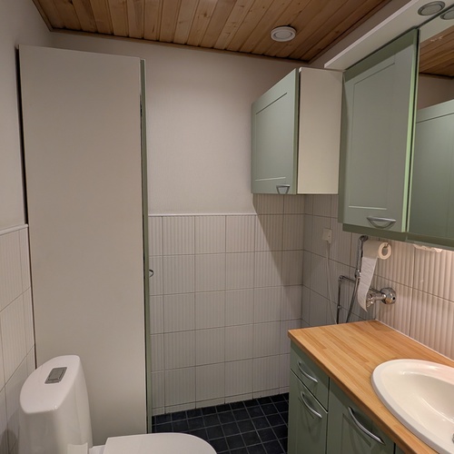 Erillinen wc