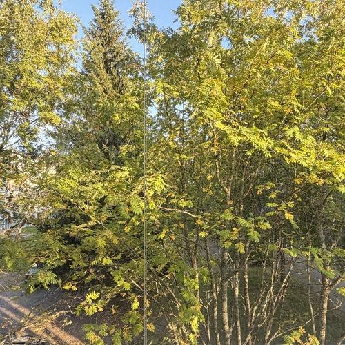 Näkymä parvekkeelta