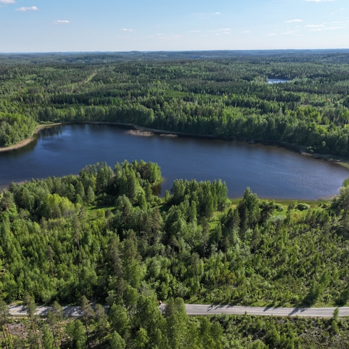 Vapaa-ajan tontti, Paljakantie 38, Kouvola, Paljakka, Vapaa-ajan rantatontti RA/1, rak.oik 150 k-m², 7900 m², 7 900 m², 60 000 €