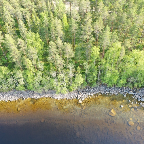 Vapaa-ajan tontti, Mikkeli, Himalansaari, Laakonrannantie 62, RA - Vapaa-ajan tontti, 5 940,00m², 95 000,00 €