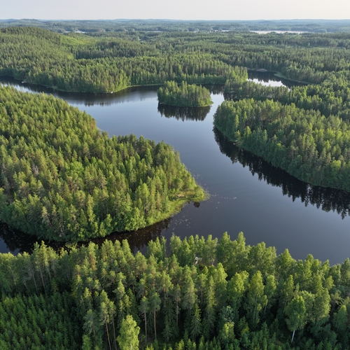 Mökki tai huvila, Patalantie 113, Hirvensalmi, Hirvenlahti, Rantasauna (saunatupa, s, pkh, terassi), 20 m², 48 000 €