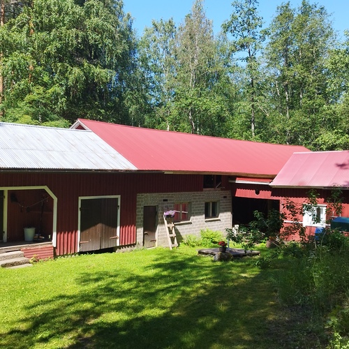 Piharakennus