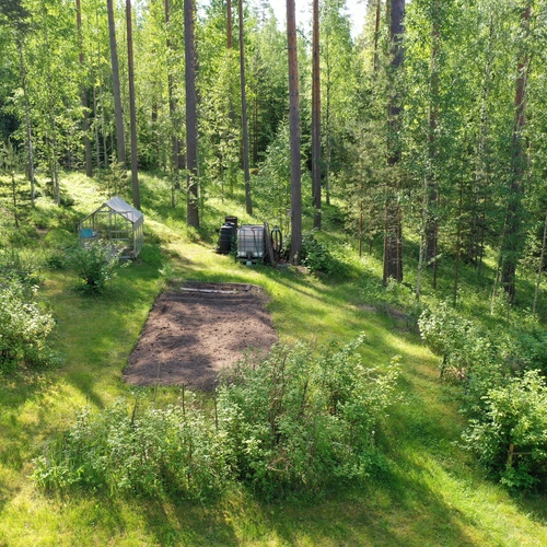 Kasvimaa