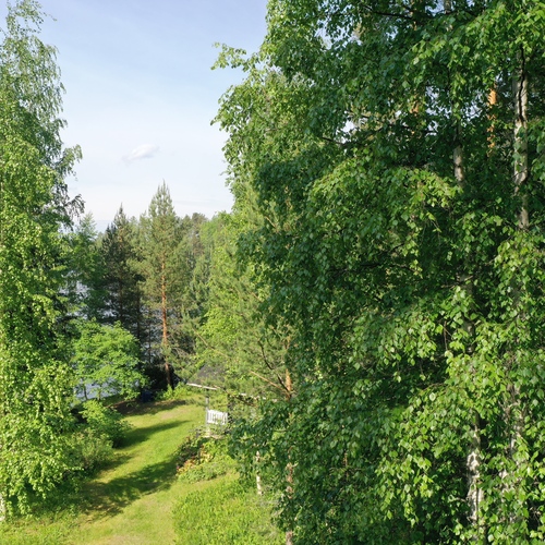 Saunapolku