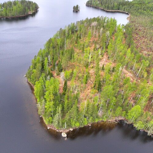 Vapaa-ajan tontti, Sileäniementie, Mikkeli, Närvälä, Määräala 1,38 ha, 1,38 ha, 53 000 €