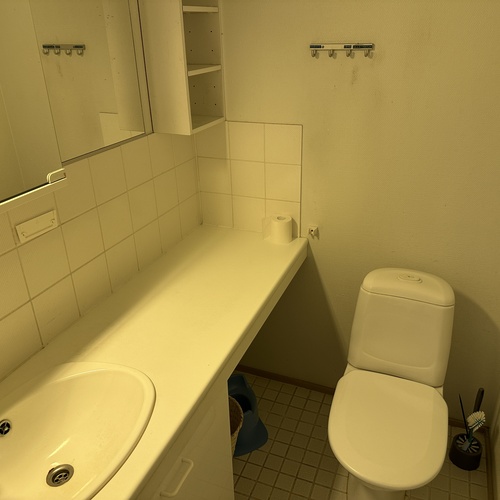 Erillinen wc