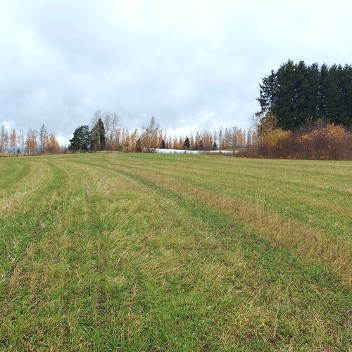 Omakotitalotontti, Joki-Sairilantie 9 B, Mikkeli, Sairila, 3500m² Määrä-alatontti, 3 500 m², 25 000 €