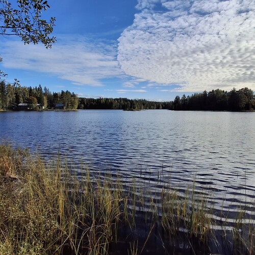 Mökki tai huvila, Saarisentie 127 a, Ristiina, Mikkeli, Pellosniemi, 3h+k, 36 m², 65 000 €