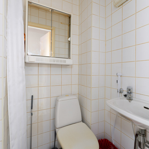 Wc-istuin, peilikaappi ja allas