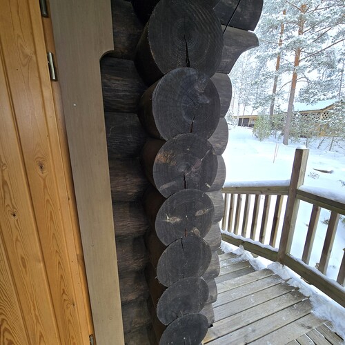 Paksu höyläpöyröhirsi.