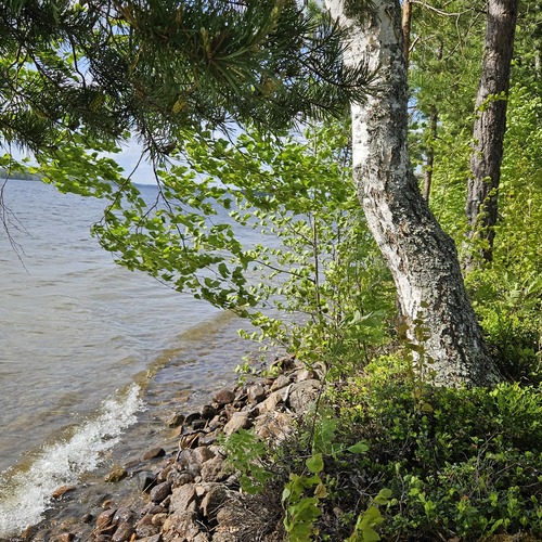 Mökki tai huvila, Hirvensalmi, Suontee, Vahvaselkä, Aittorannantie, 2h, kk, terassi, erill. rantasauna, takkatupa, 68,00m², 150 000,00 €