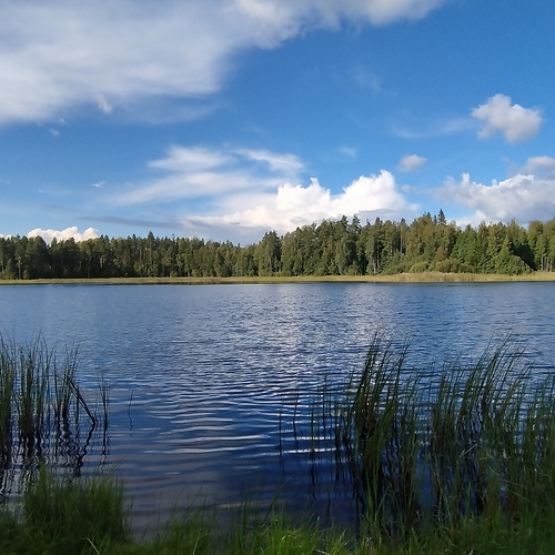 Mökki tai huvila, Kurkivaarantie 126 B, Mäntyharju, Mäntyharju, 2h+k+terassi, 33 m², 99 000 €