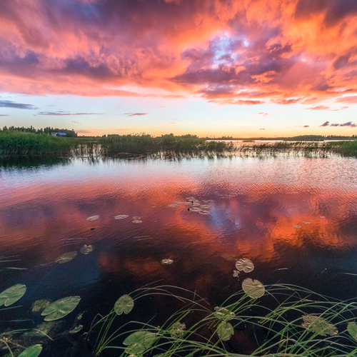 Katelejärveä näin