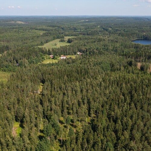 Metsäpalsta Käkikumpu II