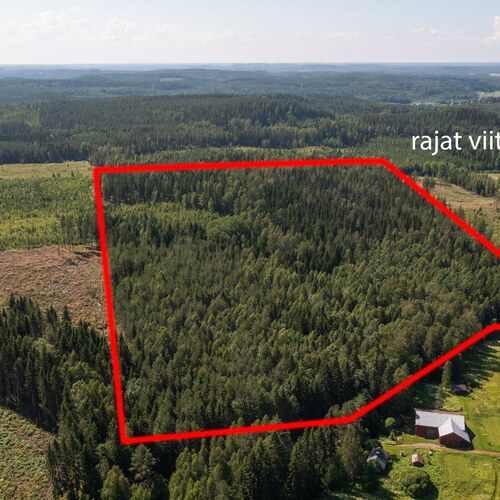 Metsäpalsta Käkikumpu II