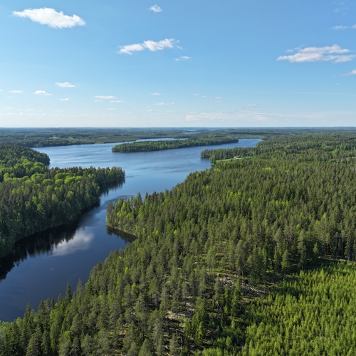 Vapaa-ajan tontti, Papuniementie 111, Kouvola, Paljakka, Vapaa-ajan rantatontti RA/1, rak.oik 150 k-m², 8040 m², 8 040 m², 30 000 €