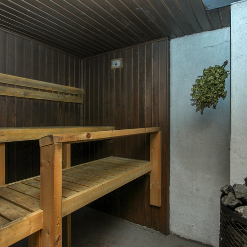 Puulämmitteinen pihasauna