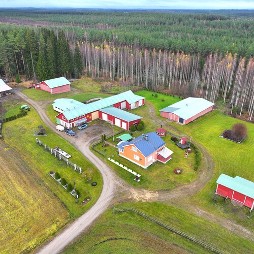 Omakotitalo, Pohjalahdentie 1145, Mikkeli, Haukivuori, 4h, k, kph, s, wc, työhuone, kellari, katettu terassi, 133 m², 128 000 €