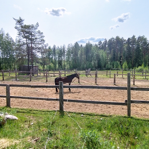 Omakotitalo, Joutsa, Joutsa, Kangasniementie 128, Hevostila, 5h+k+s, 146,00m², 265 000,00 €