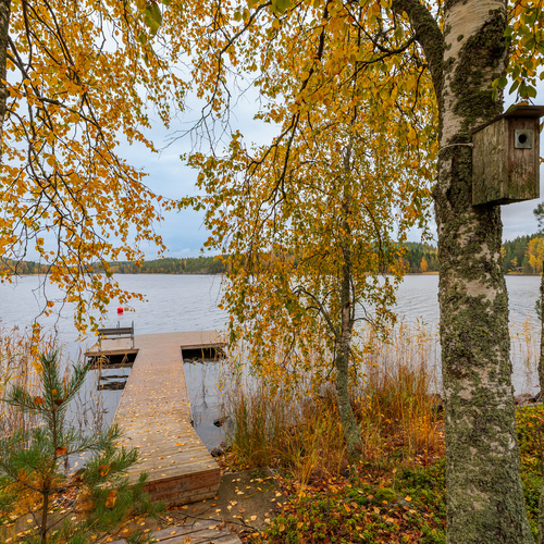 Laituri.