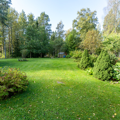Nurmikenttä