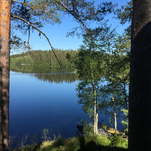 myyjän albumista