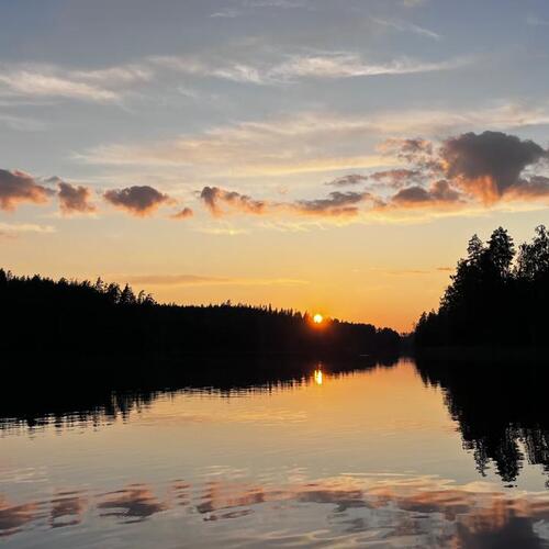 myyjän albumista
