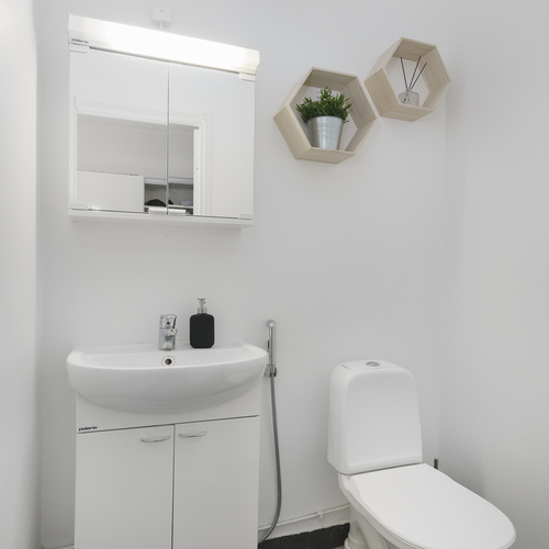 Erillinen wc