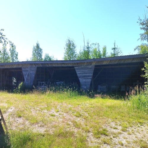 Suuri avokatos tien toisella puolella