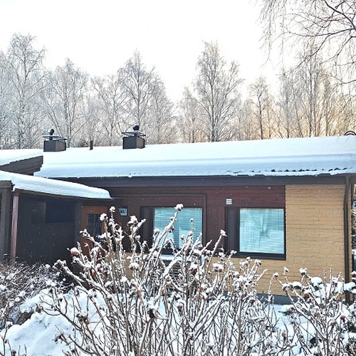Talvikuva etupihalta
