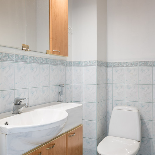Erillinen wc